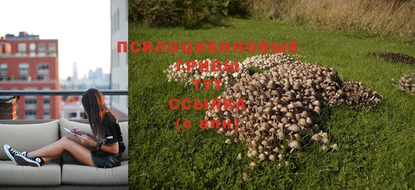 мяу мяу мука Кодинск