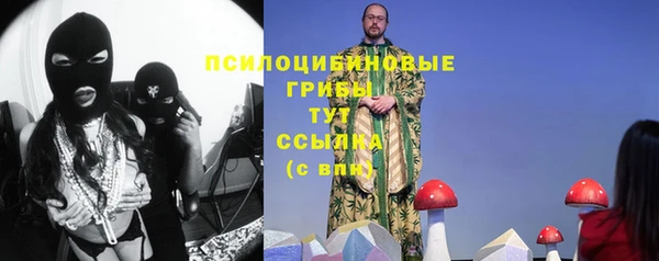 мяу мяу мука Кодинск