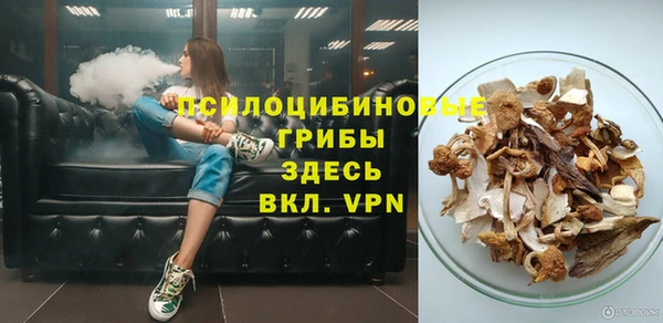герыч Козельск