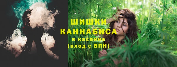 герыч Козельск