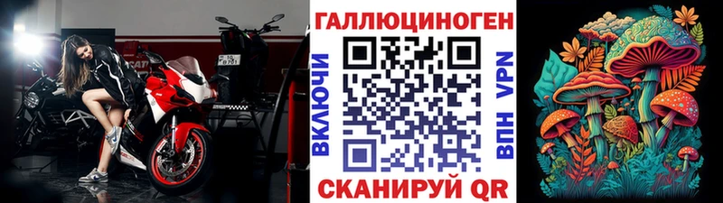 Купить  Медногорск  Галлюциногенные грибы Psilocybine cubensis 